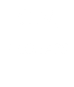 C.V. + COLLABS 